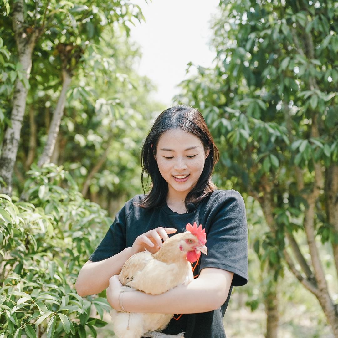 恩恩家的农场