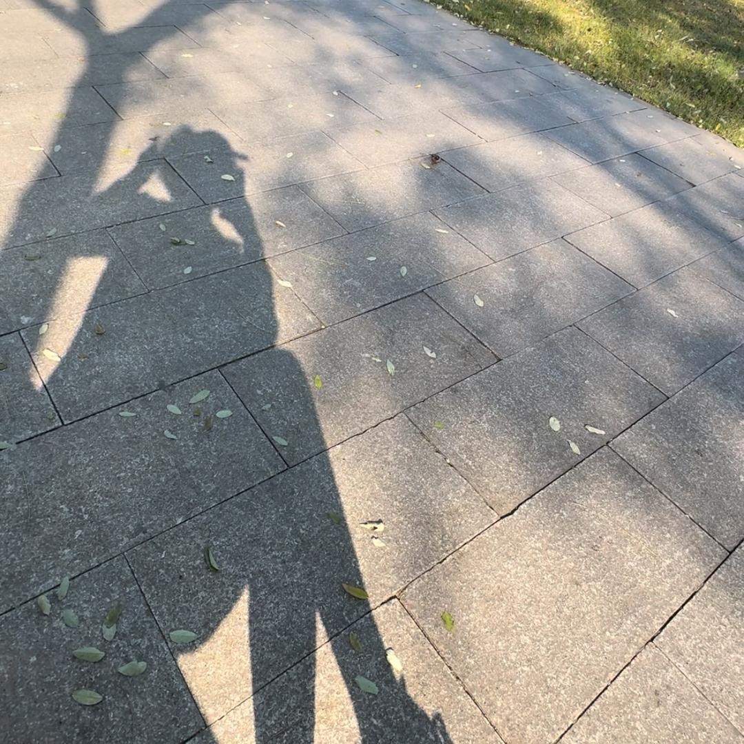 随遇而安🍀