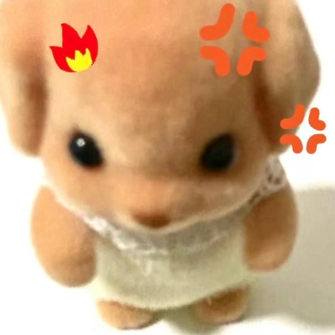 臭屁小卤蛋