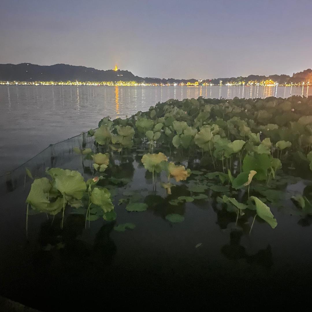 李可