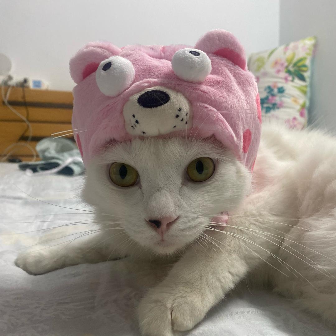 卡卡小姐姐