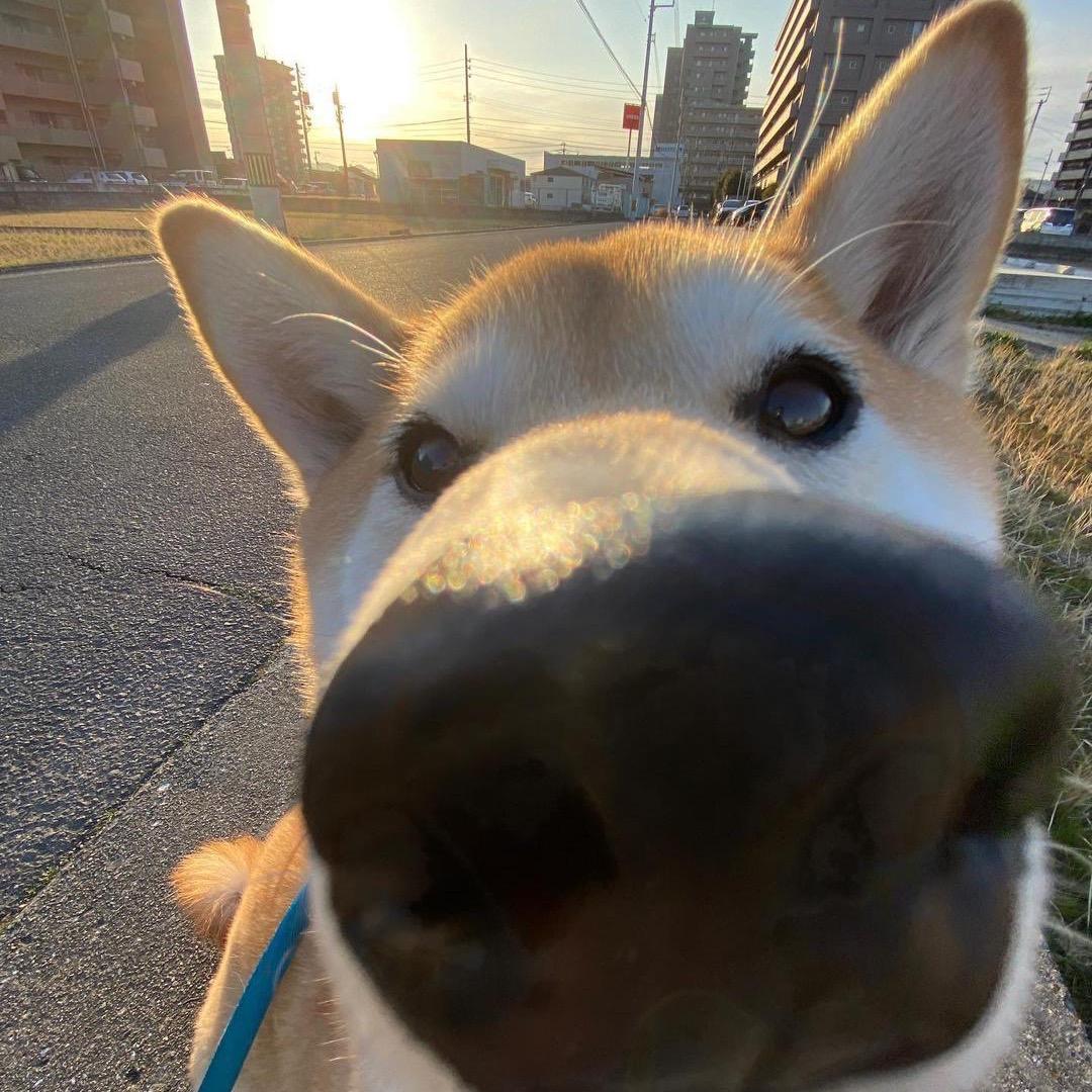 。。。。。。。。