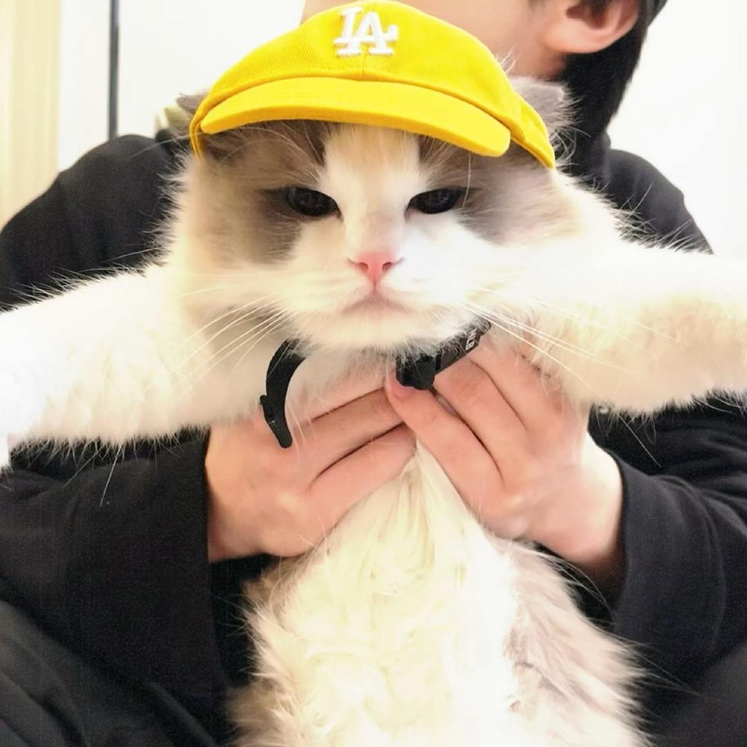 请给我沉默的空间