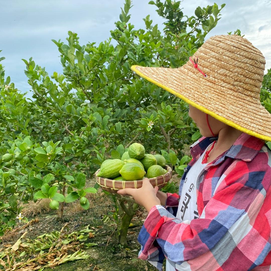 方子木四季柠鲜🍋