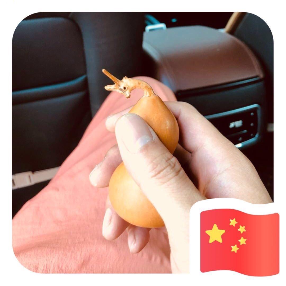 爆款缔造者