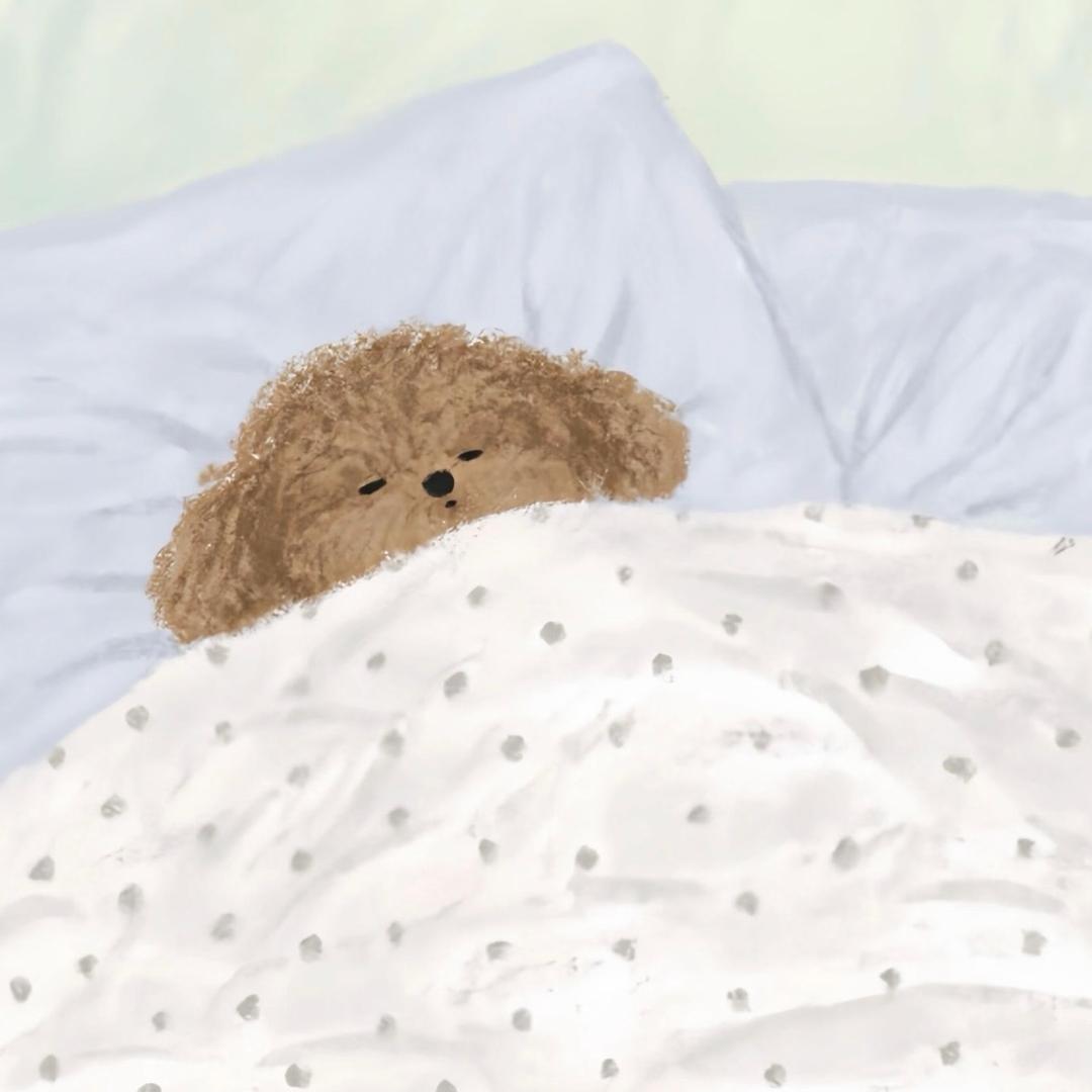 不需要生物钟或时间禁止