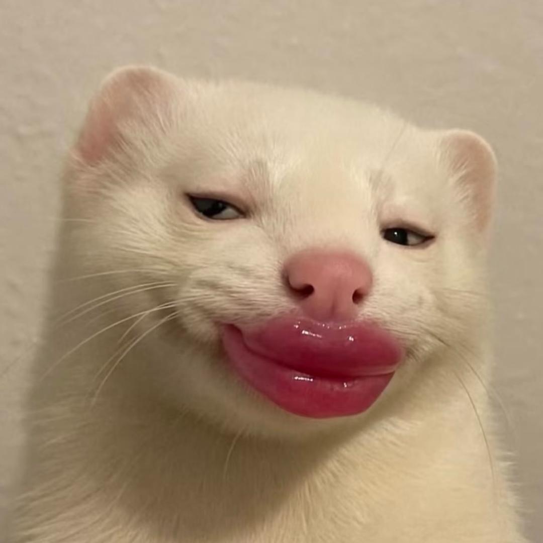 媋芬