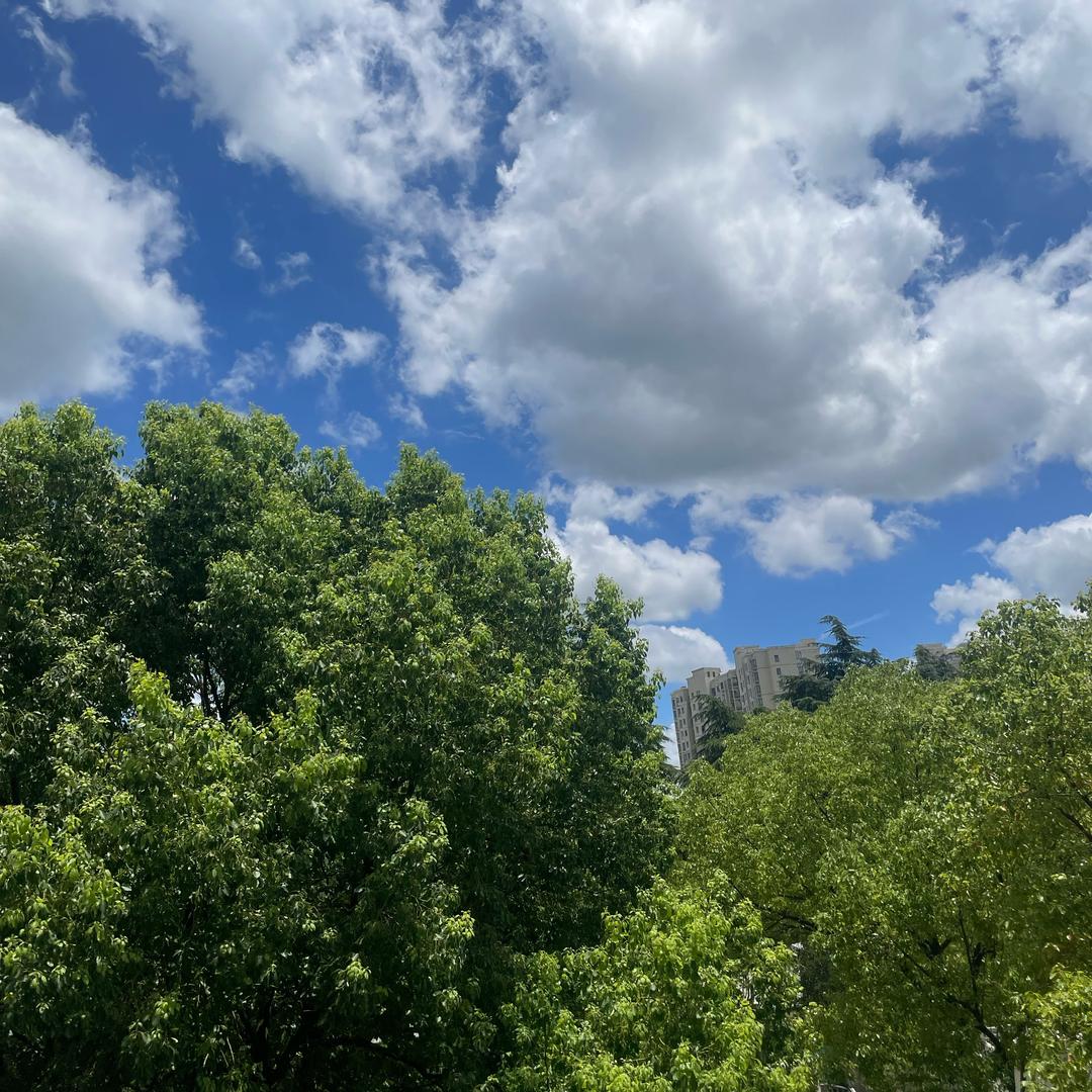 月亮与六便士🌙