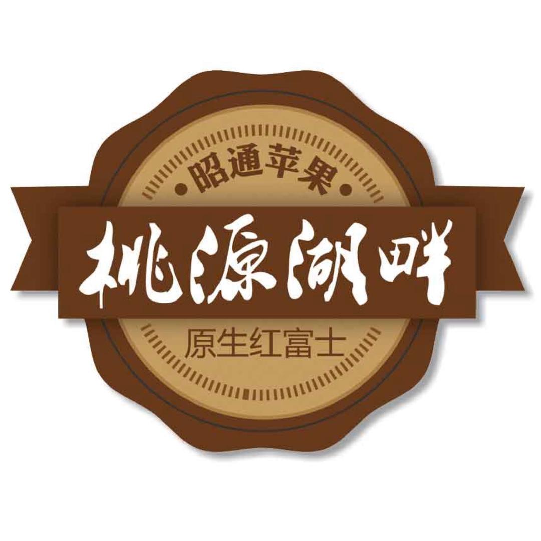 taoyuanhupan21522165