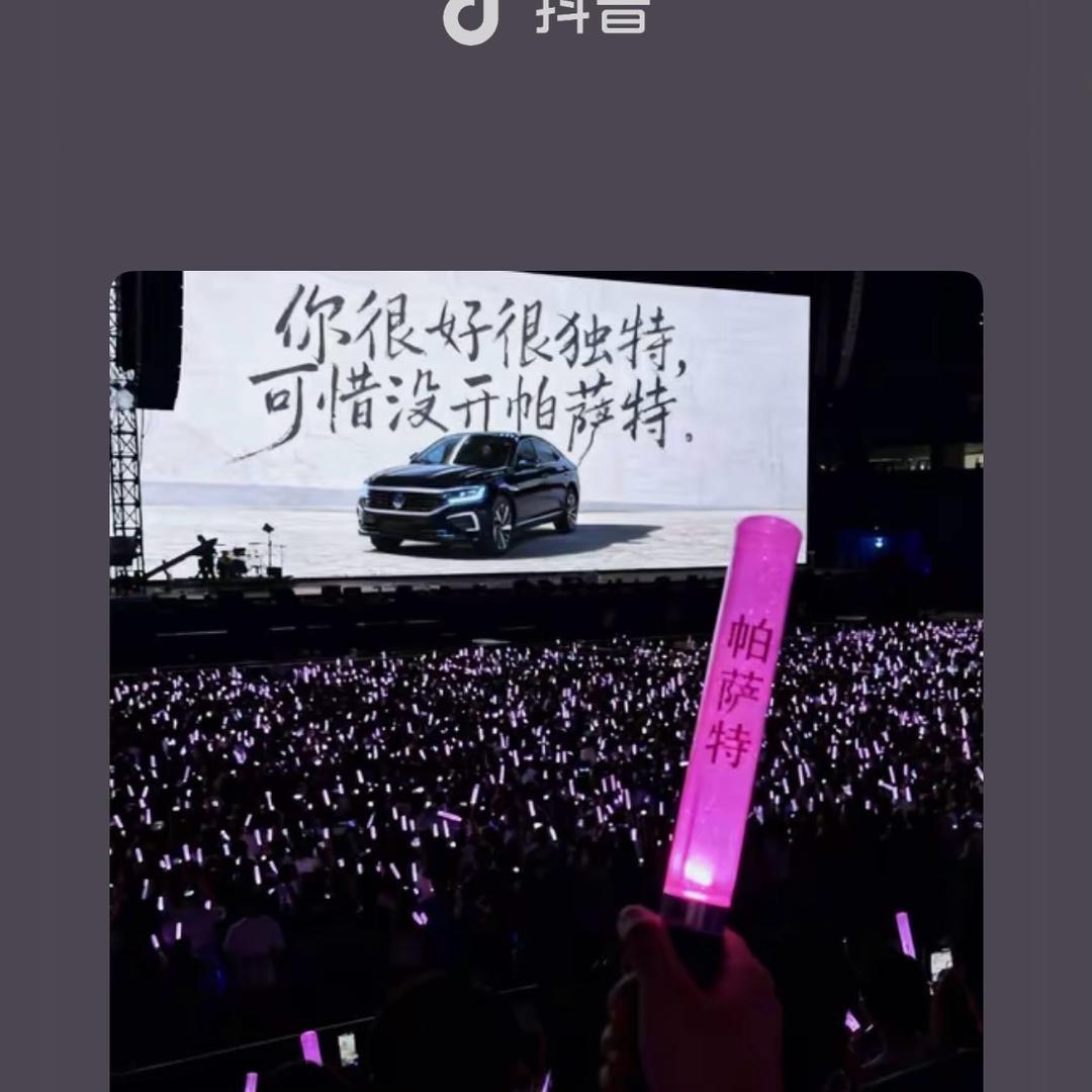 开帕萨特的陈