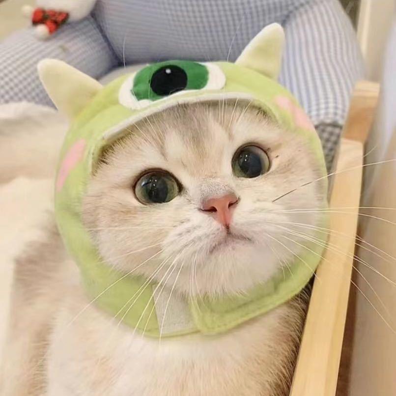 🌈🌈石锅拌饭🌈🌈