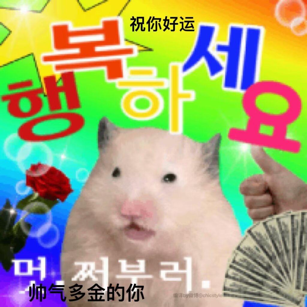 momo芝双
