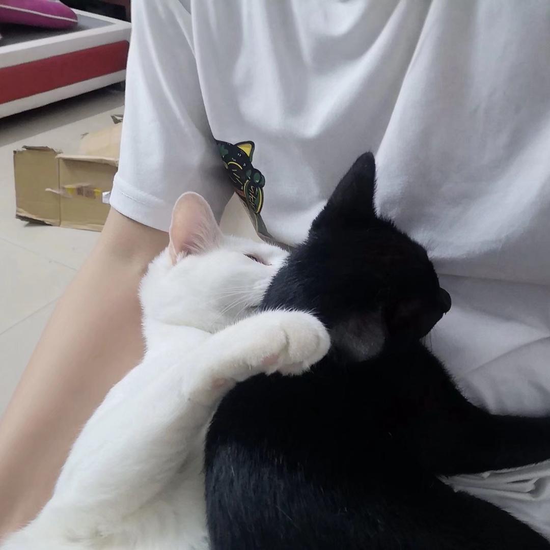 佛系摄影
