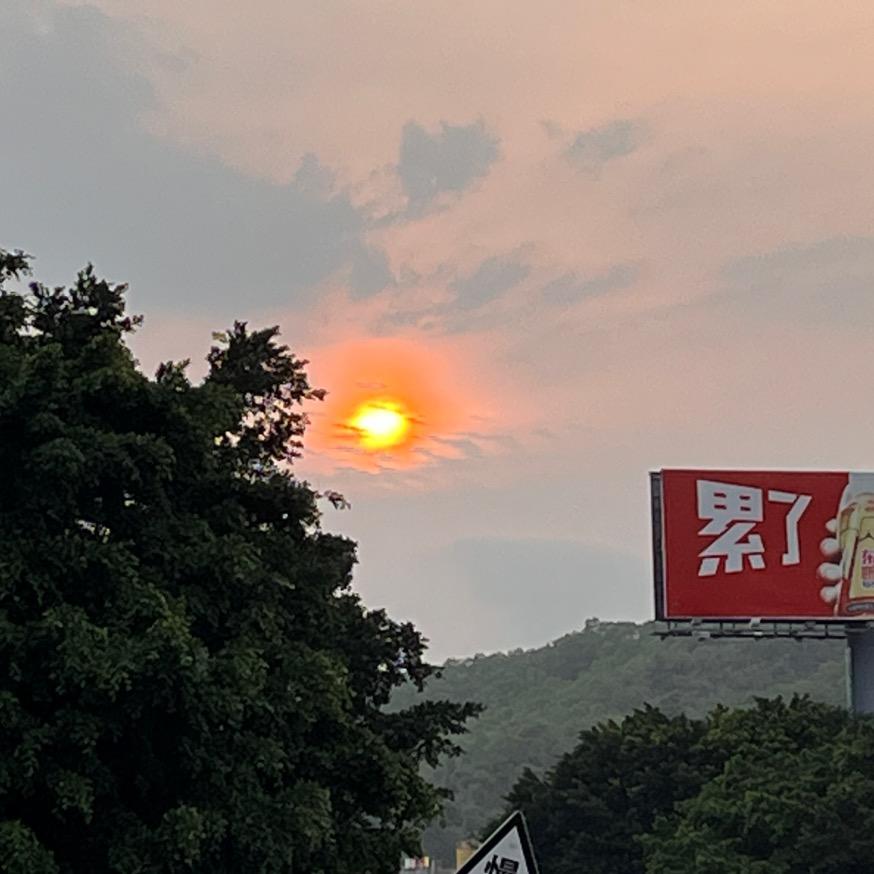 雨落落