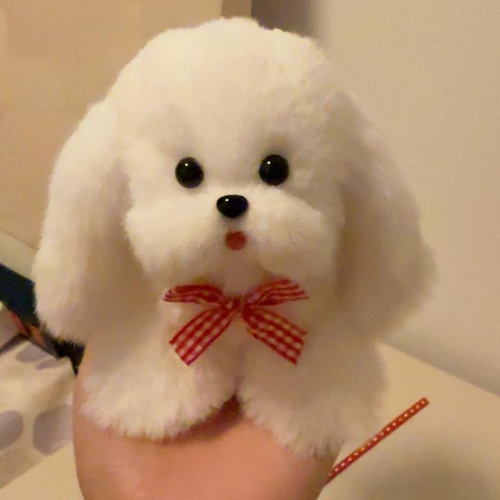 🍬兜里有钱🍬