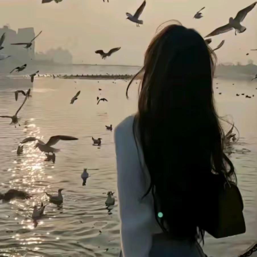 小琳（三角洲行动）