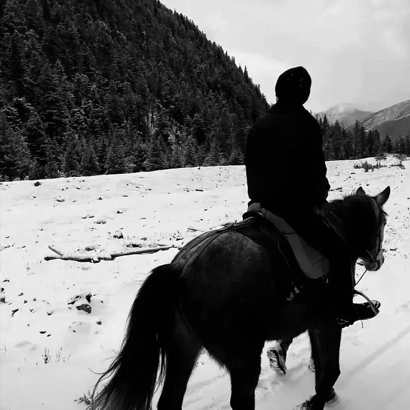 诚信18号沃得售后三包