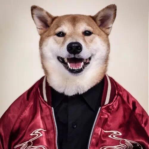 杉风怪奇物语