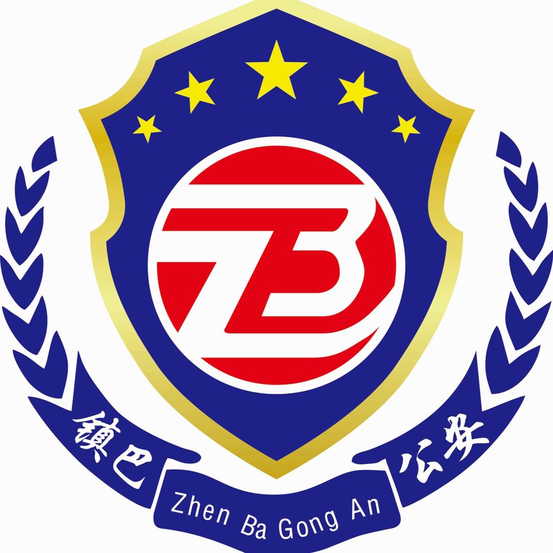 镇巴公安