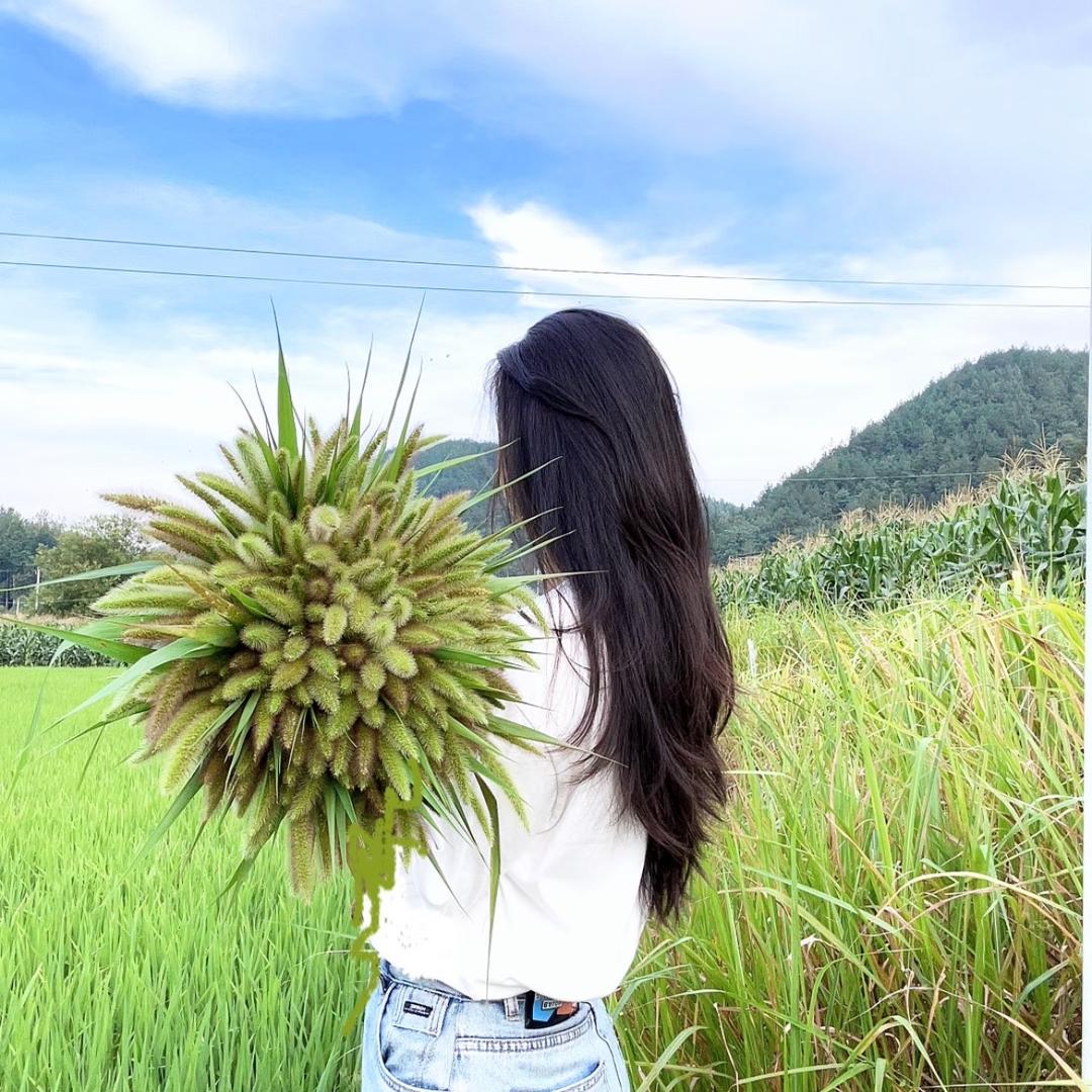 潇姿