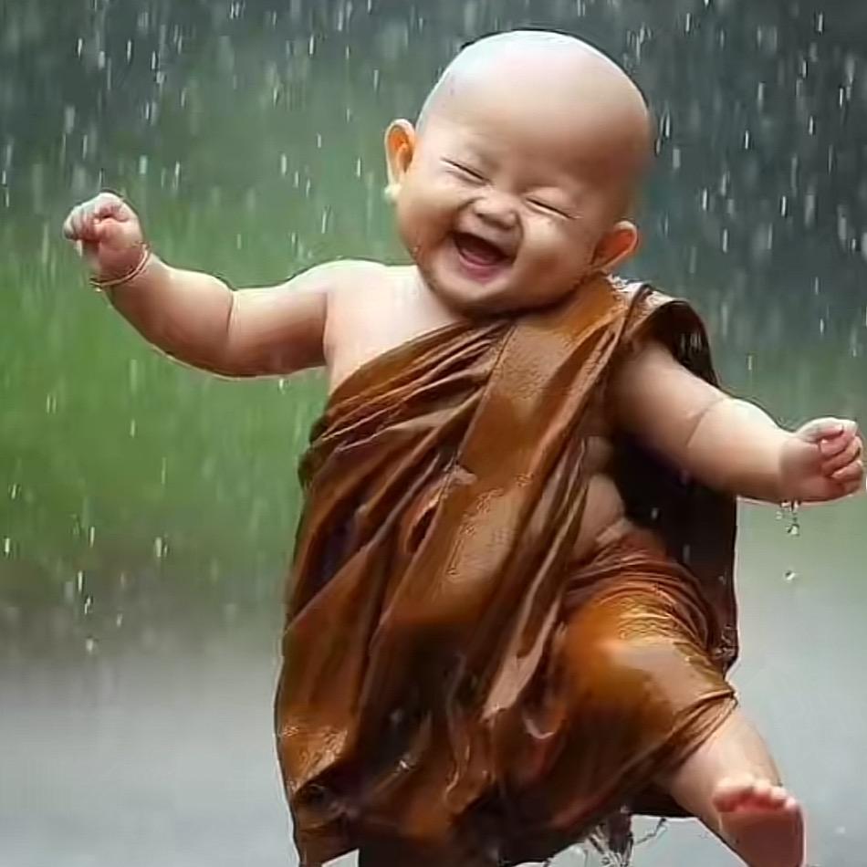 ♑️归零➿重启💲