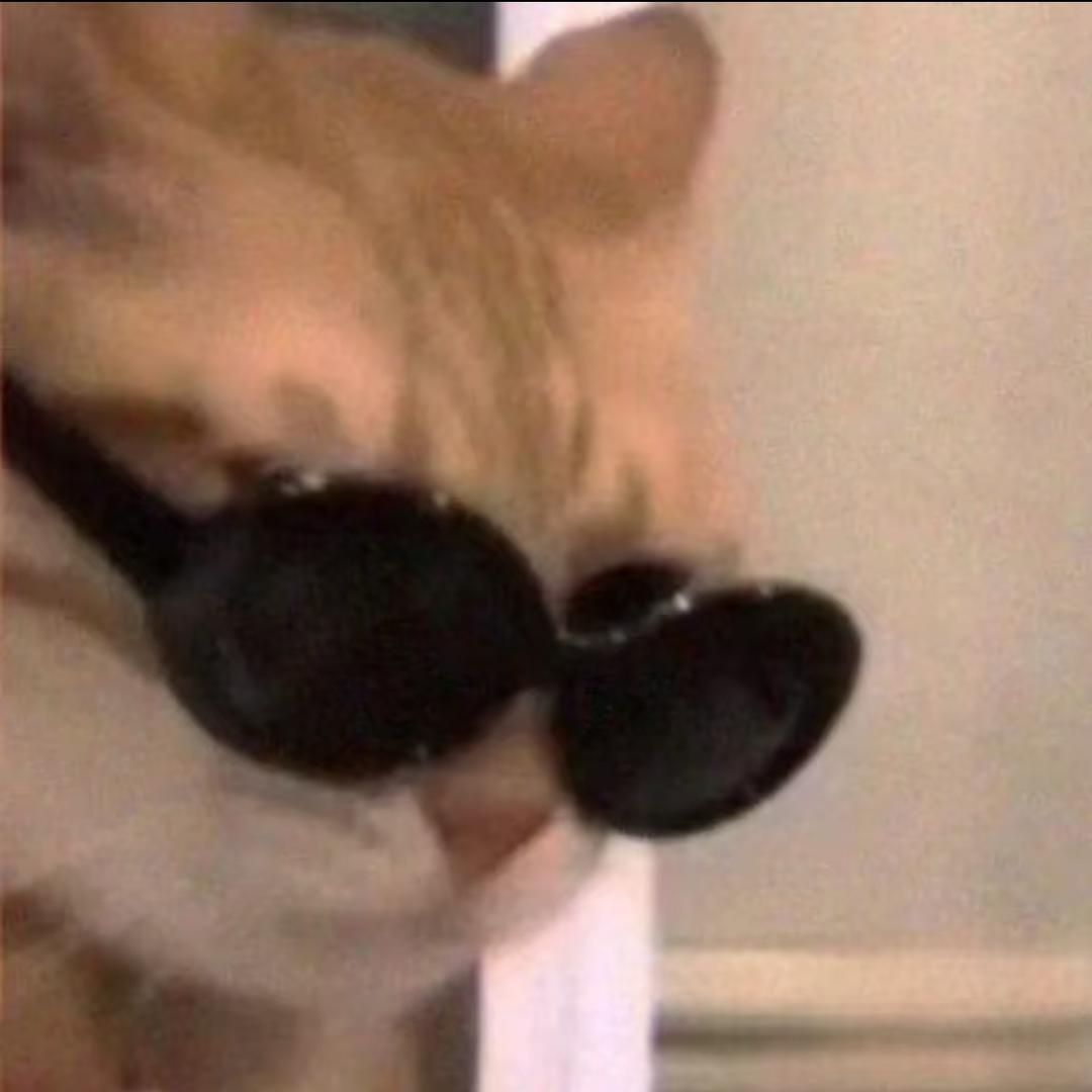 微醺小猫🐈