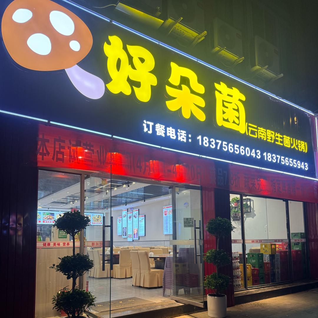 好朵菌野生菌汤锅