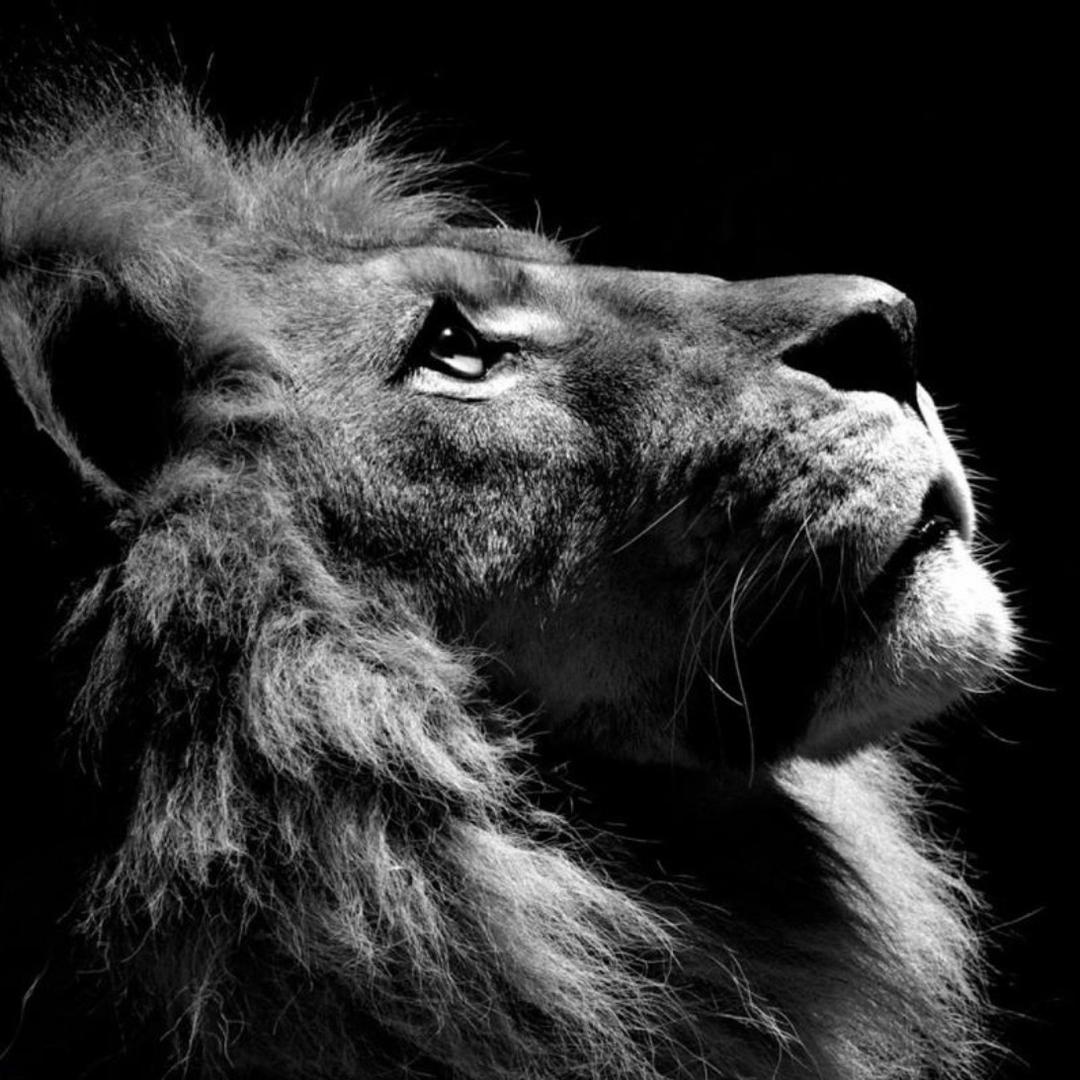 。。。。。。。。