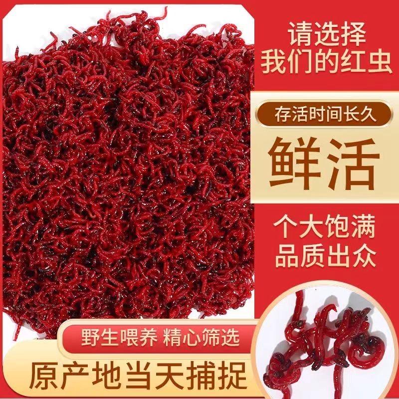 菜鸟户外用品