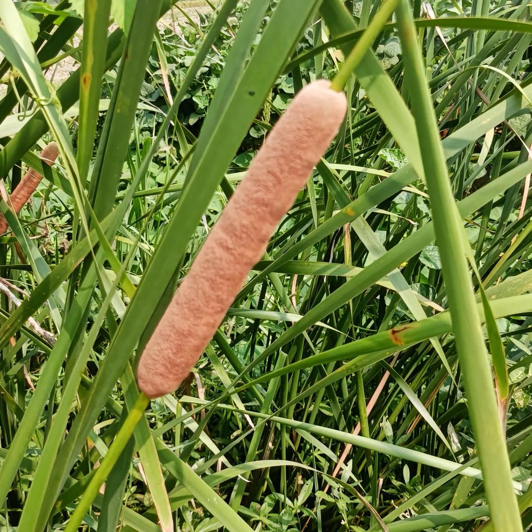 三点一线