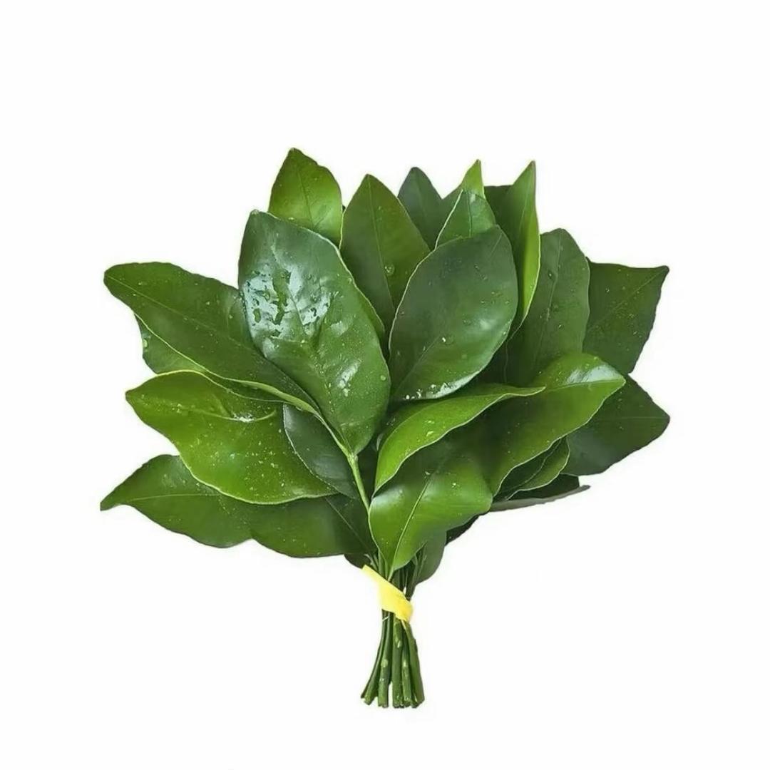 芝士小姐