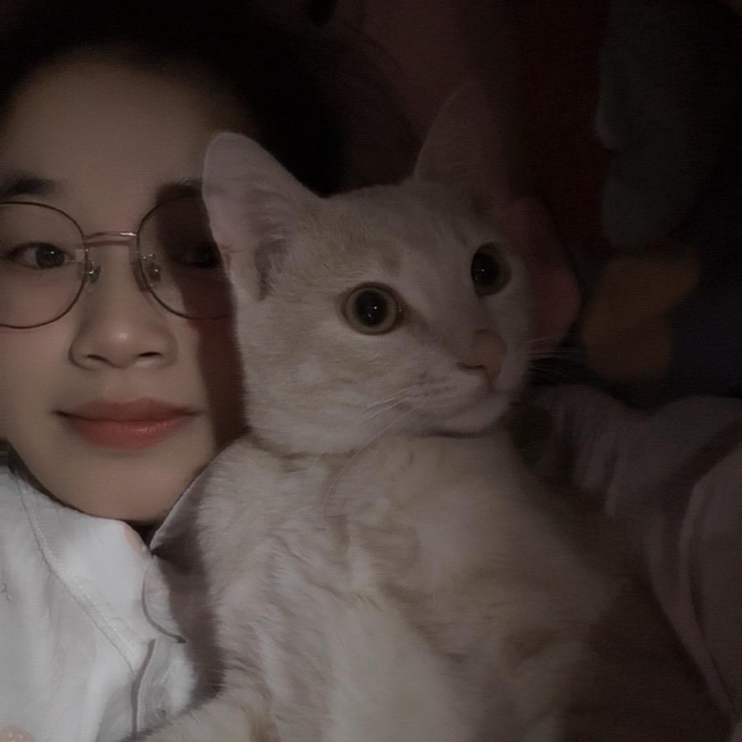 💵盛千亿💰💵