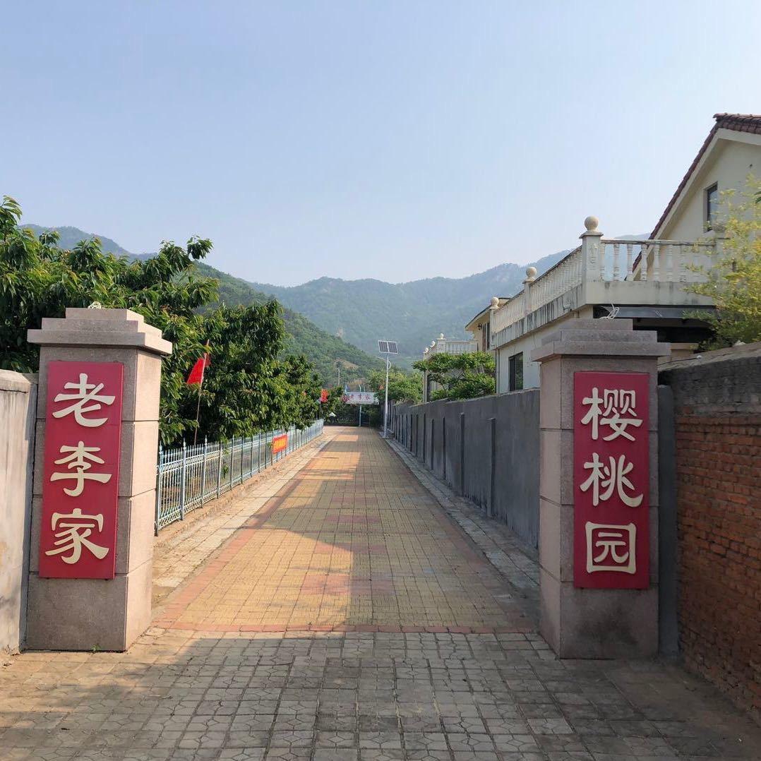 老李家大樱桃园