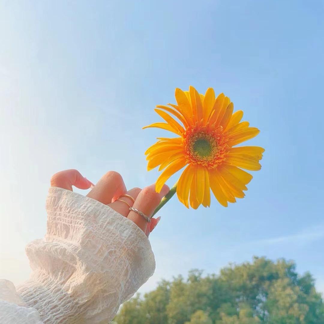 时间的花