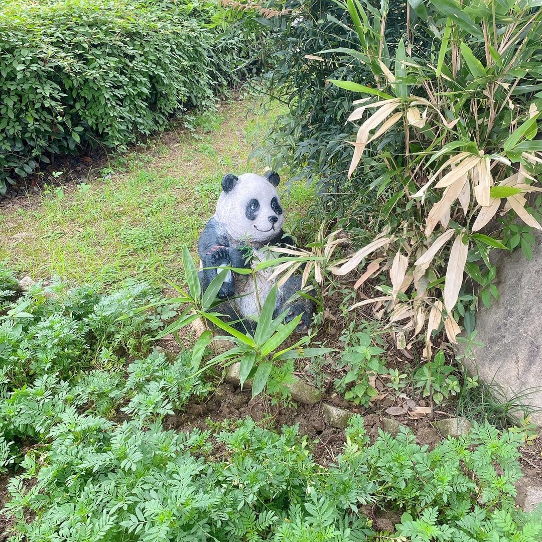 糖豆