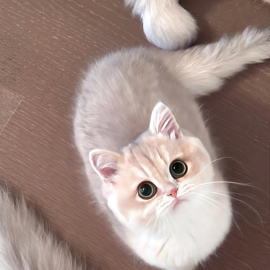 伤心能买医保吗