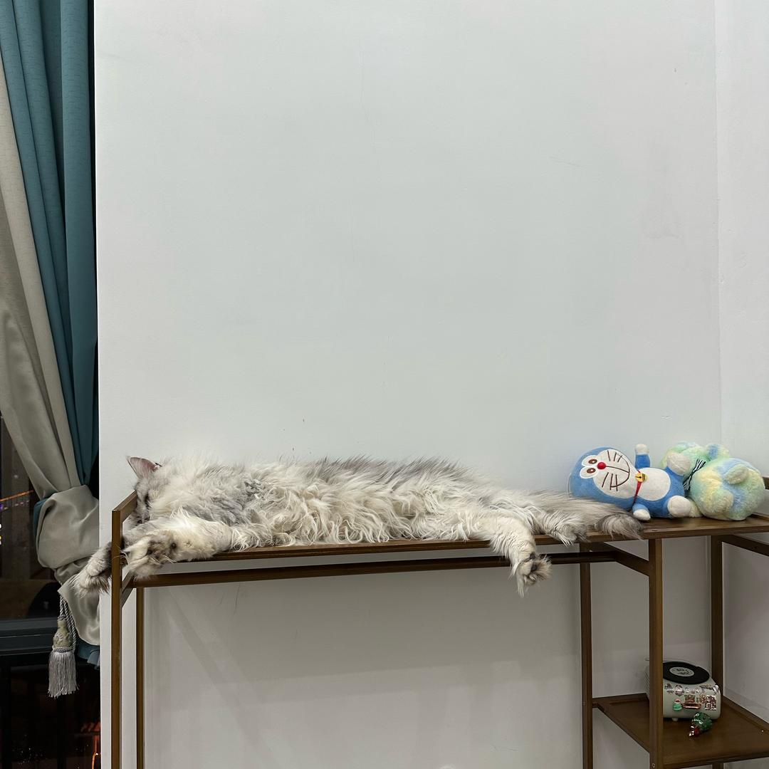 🌈🌈鱼刺卡喉咙啦🌊