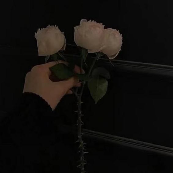 玥茴