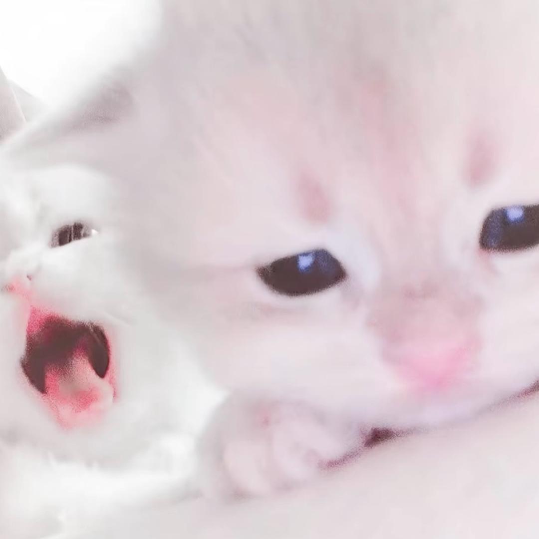 总而言之你很可爱