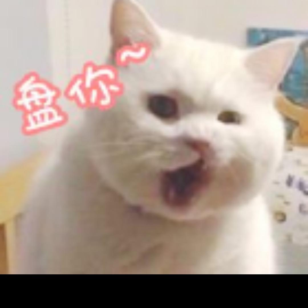 ^v^小黑碳^v^