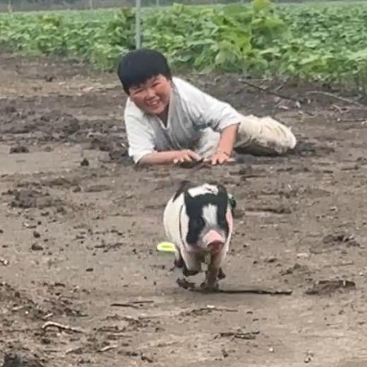 袖珍人凯凯
