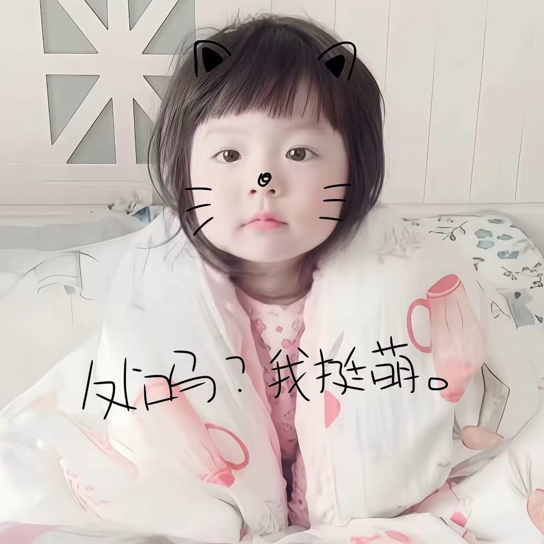 飘落的枫叶、
