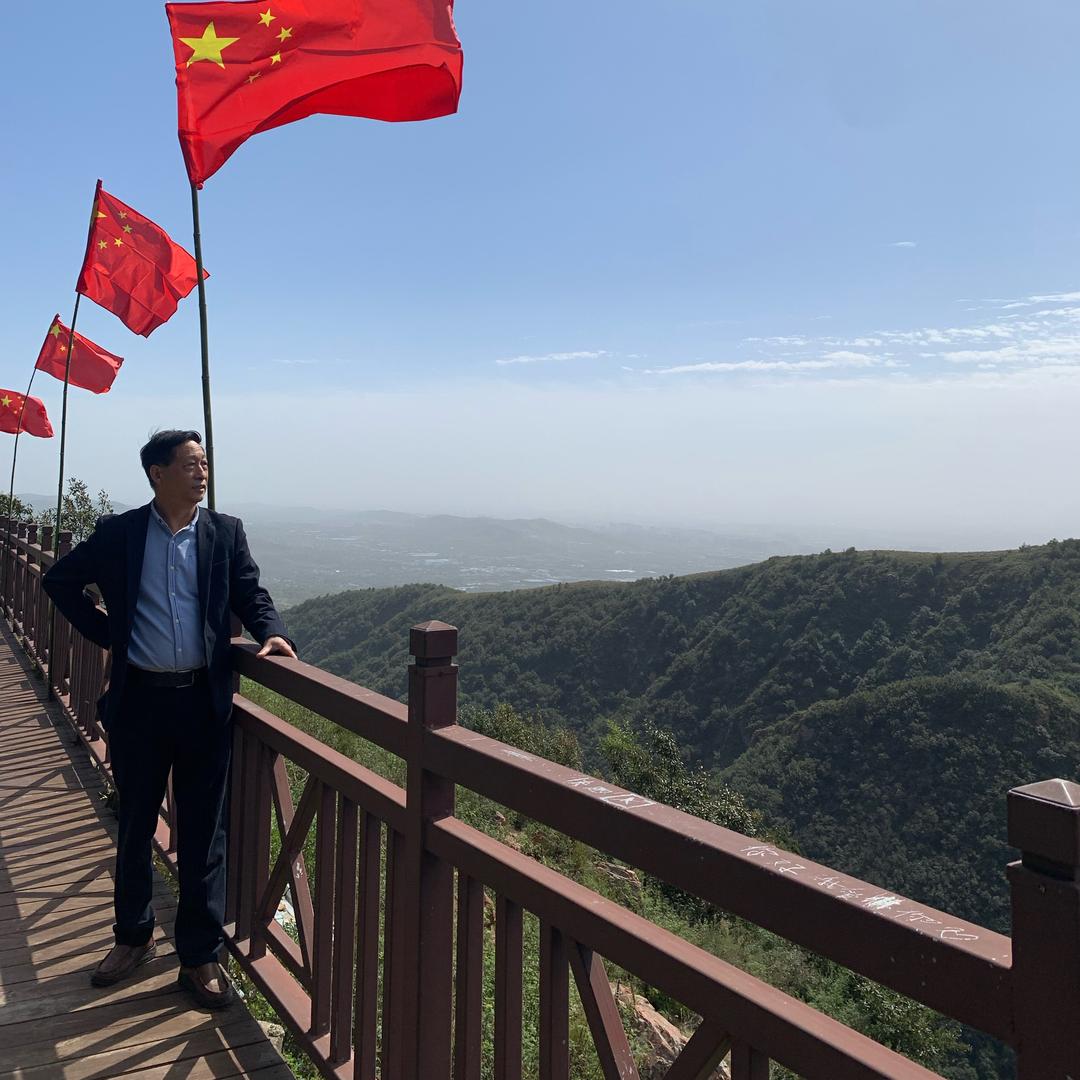 忽如一夜春风来