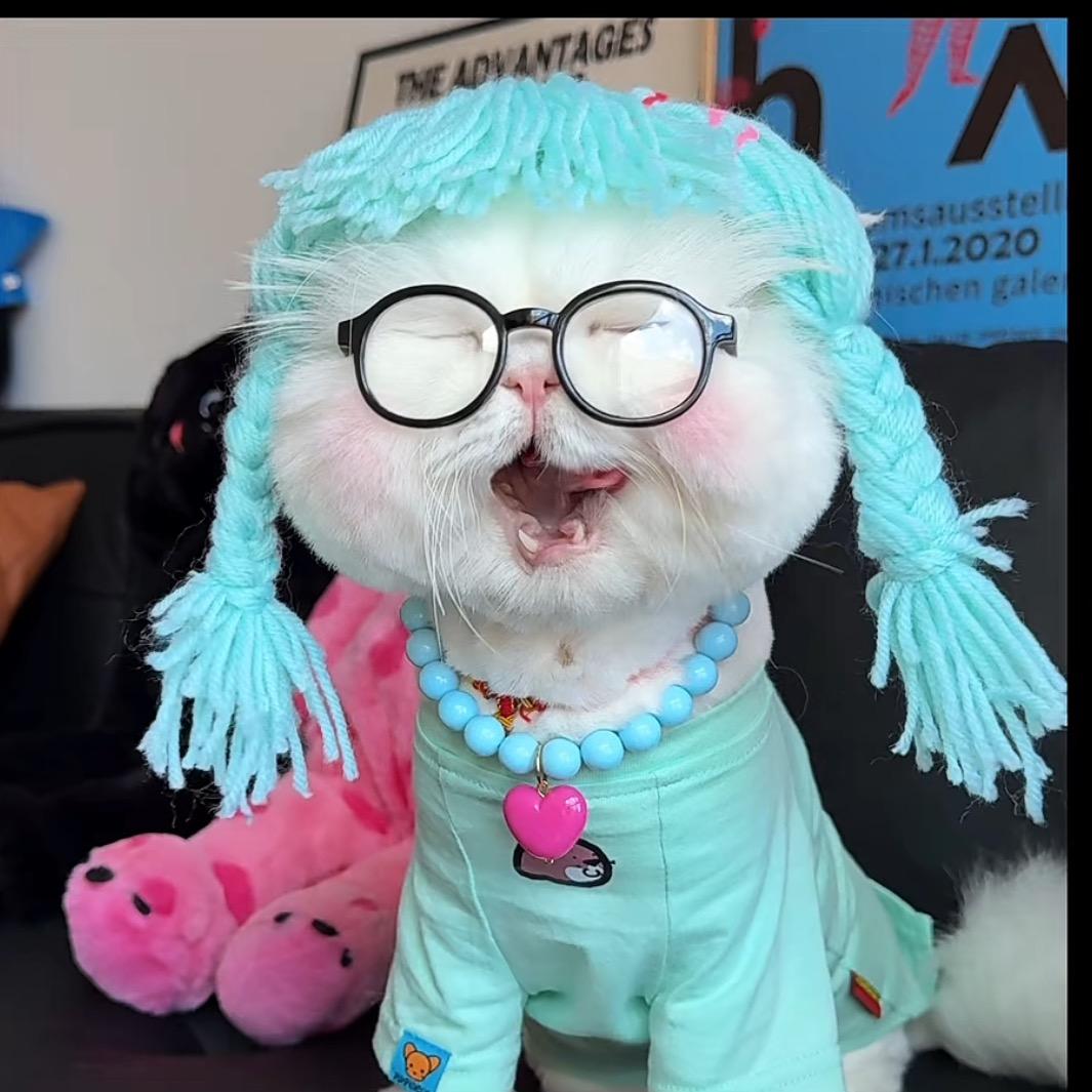 是阿崽吖