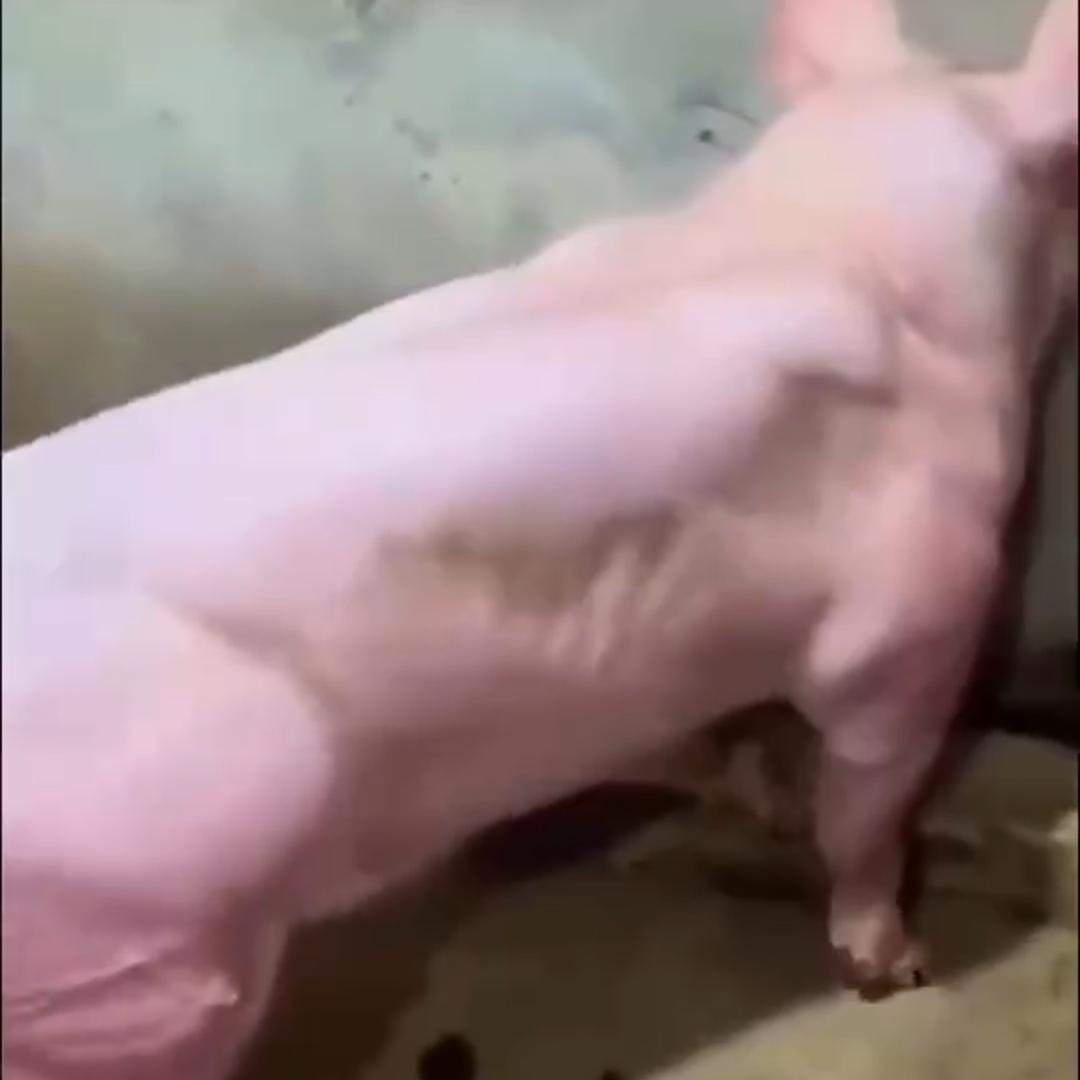 星空的未来