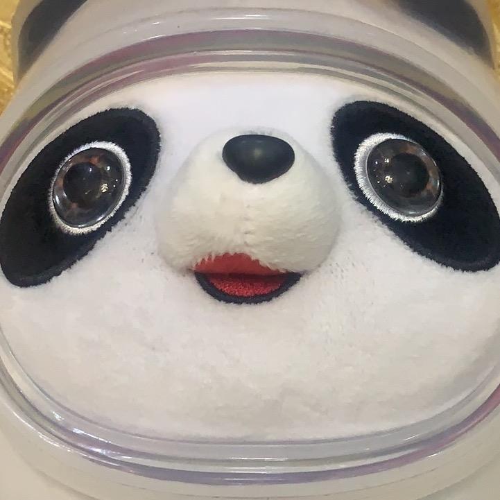 崽崽笑哈哈