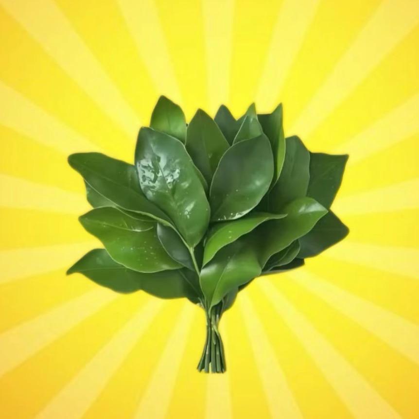 汤不圆