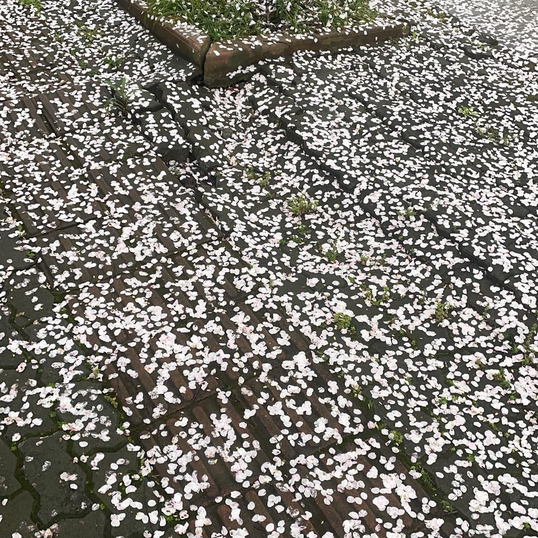 怎么能这样啊
