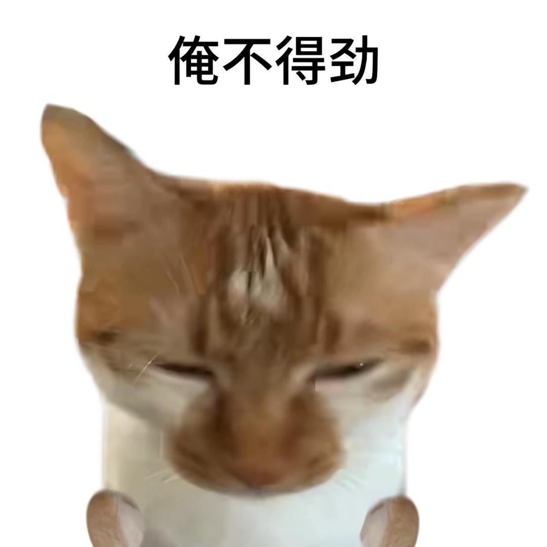 小透明🫧