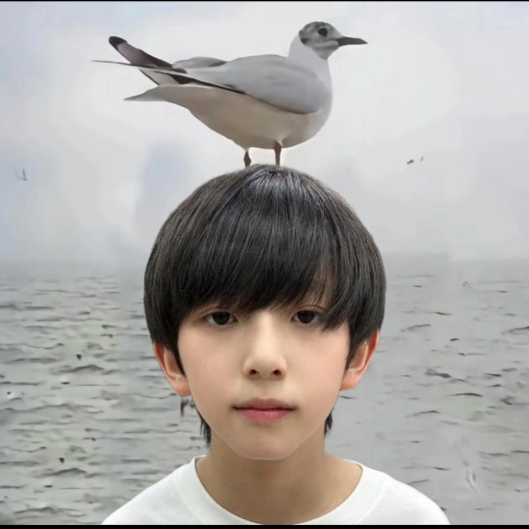 绝对占有